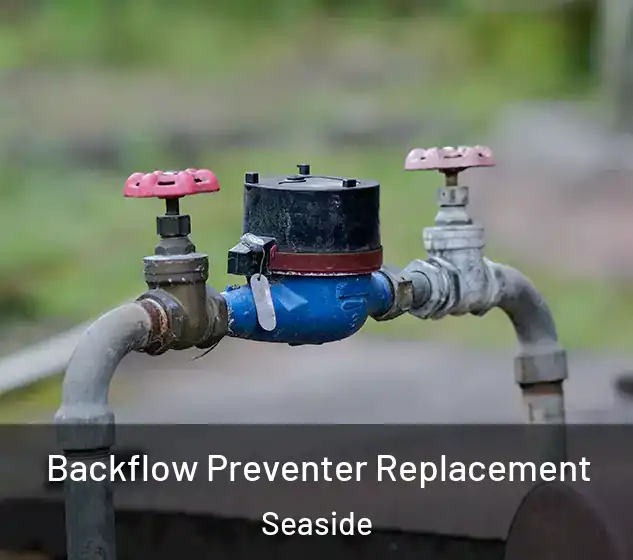  Backflow Preventer Replacement Seaside