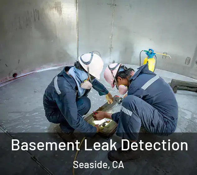  Basement Leak Detection Seaside, CA