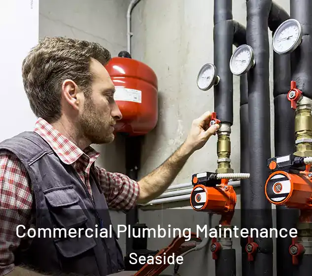  Commercial Plumbing Maintenance Seaside