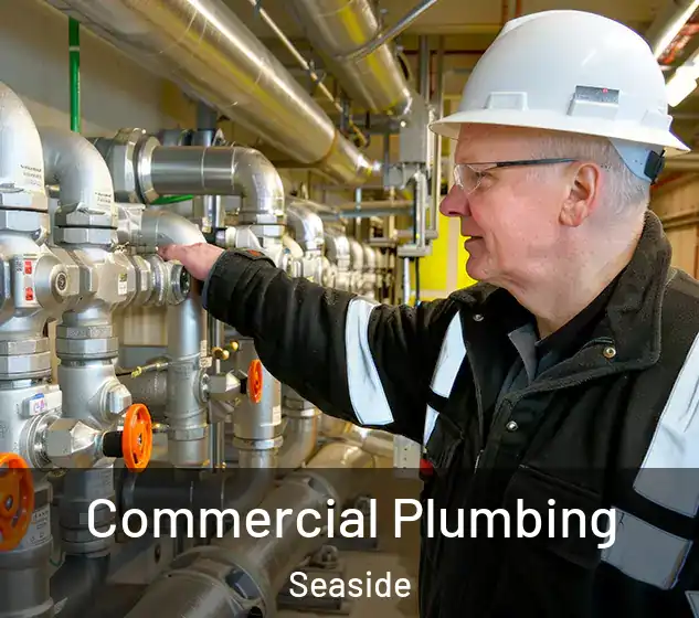  Commercial Plumbing Seaside