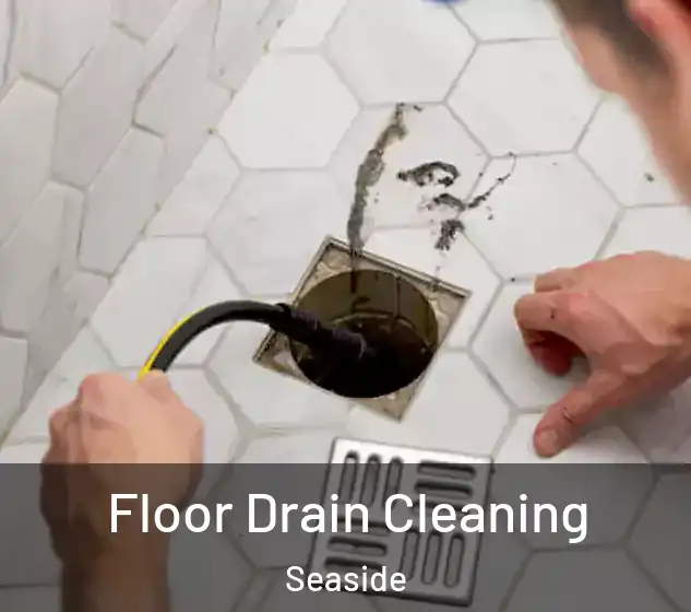  Floor Drain Cleaning Seaside