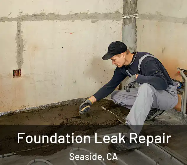  Foundation Leak Repair Seaside, CA