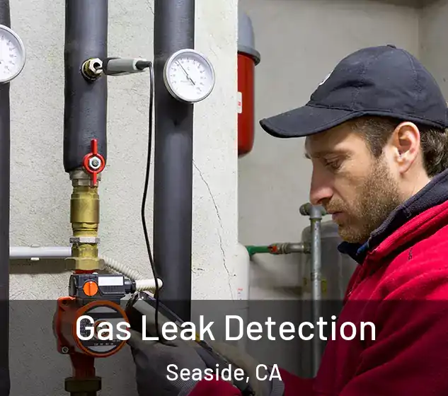  Gas Leak Detection Seaside, CA