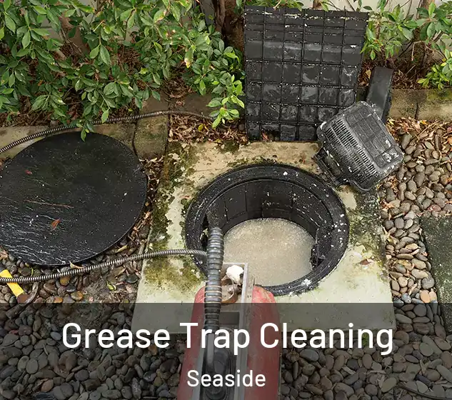  Grease Trap Cleaning Seaside