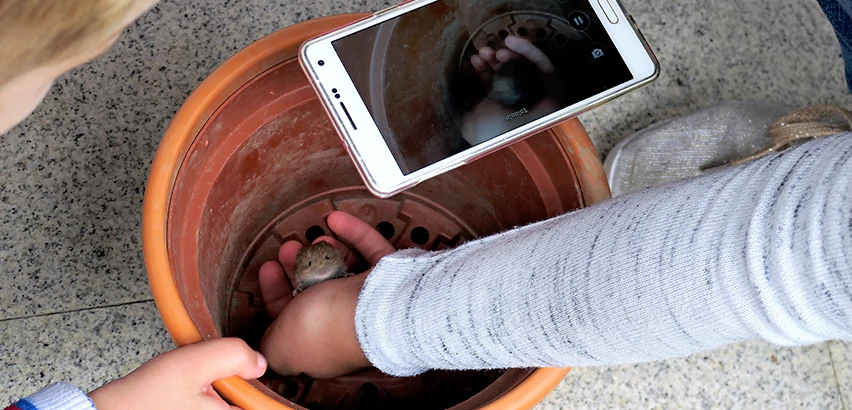 Scope of Drain Camera Inspection Services in Seaside, CA