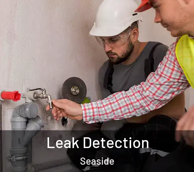  Leak Detection Seaside