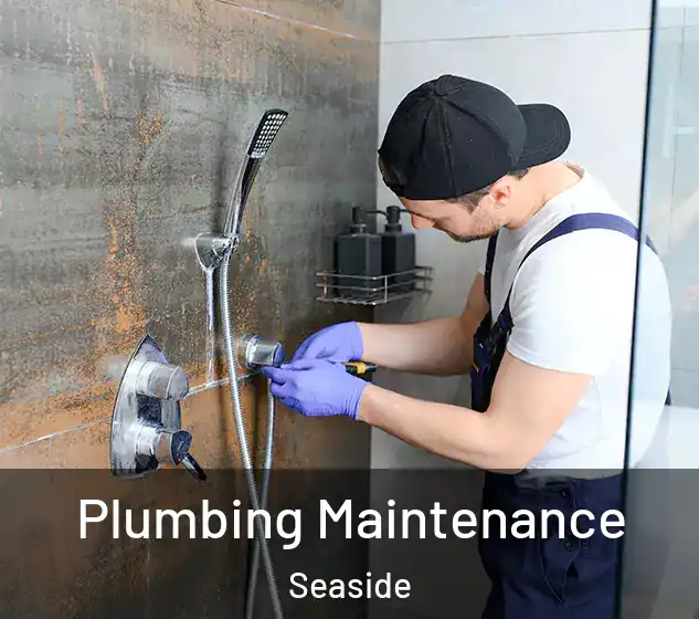  Plumbing Maintenance Seaside