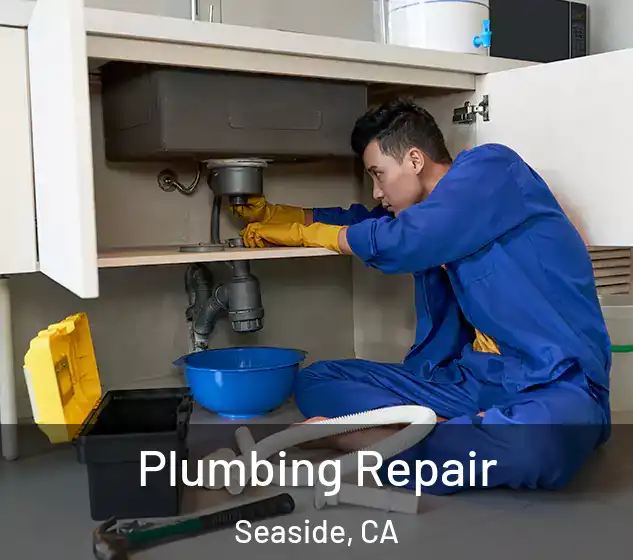  Plumbing Repair Seaside, CA