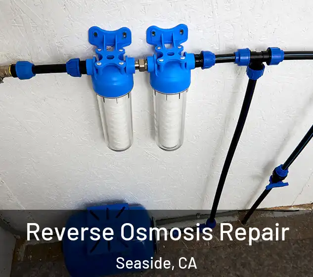  Reverse Osmosis Repair Seaside, CA