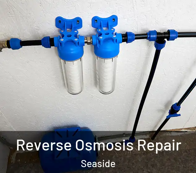  Reverse Osmosis Repair Seaside