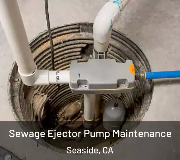  Sewage Ejector Pump Maintenance Seaside, CA