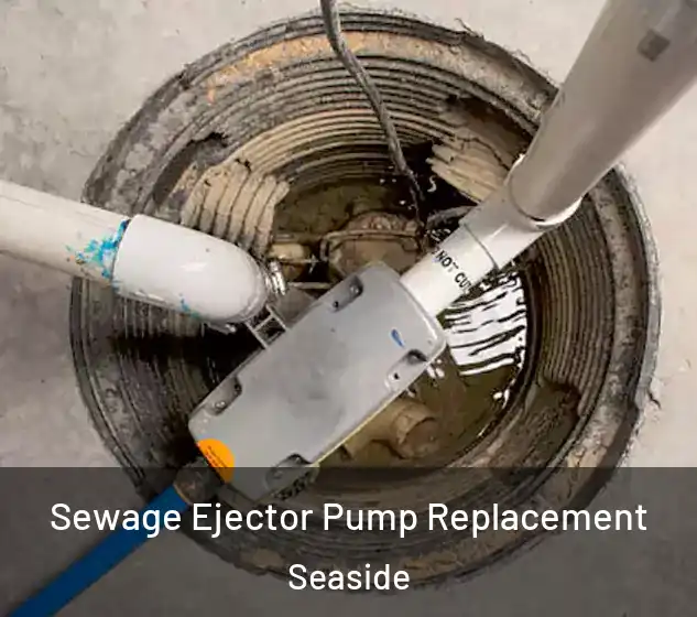  Sewage Ejector Pump Replacement Seaside