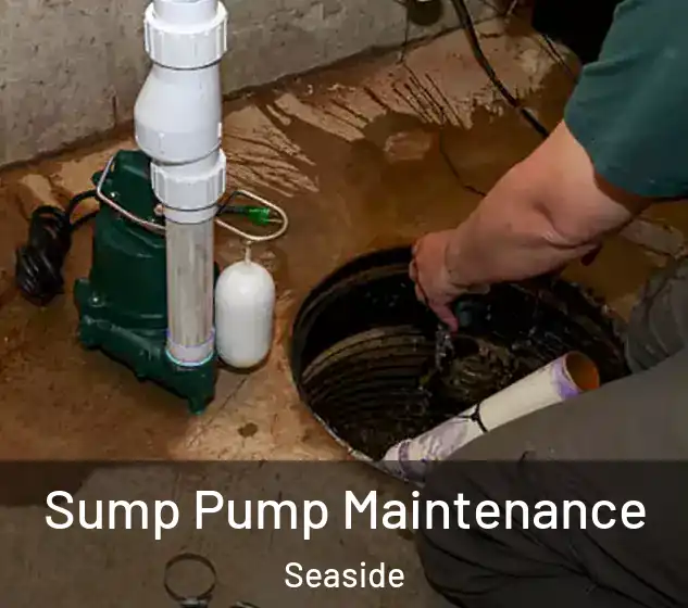  Sump Pump Maintenance Seaside