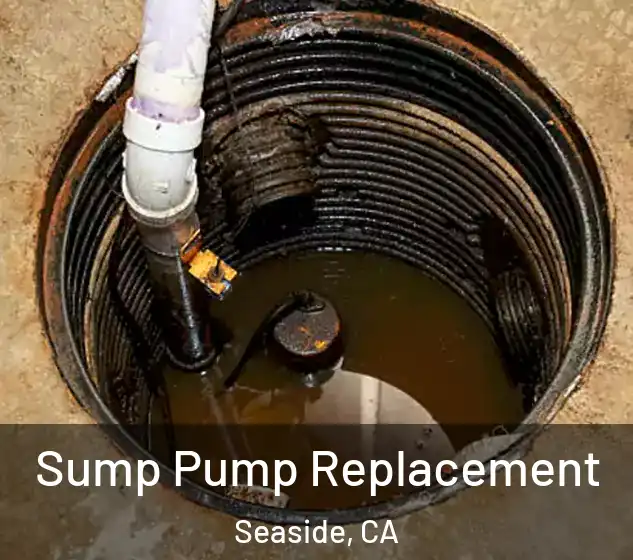  Sump Pump Replacement Seaside, CA