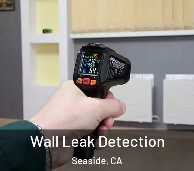  Wall Leak Detection Seaside, CA