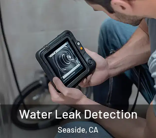 Water Leak Detection Seaside, CA