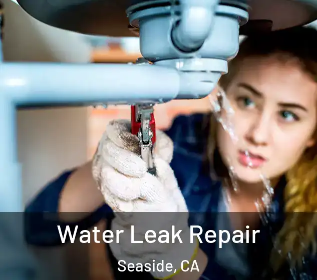  Water Leak Repair Seaside, CA