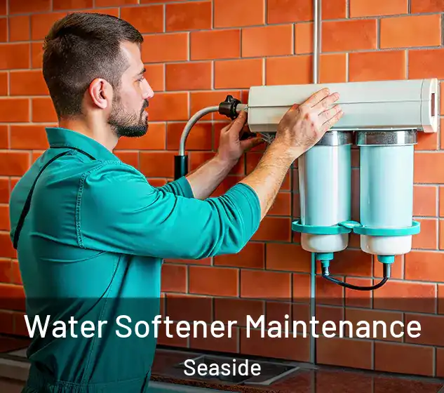  Water Softener Maintenance Seaside