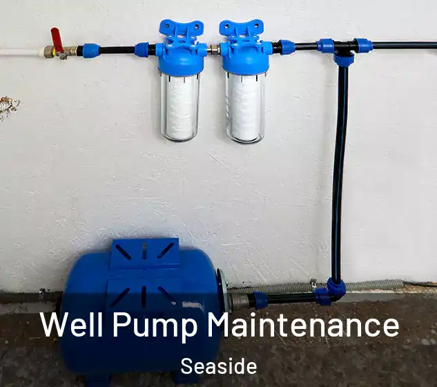  Well Pump Maintenance Seaside